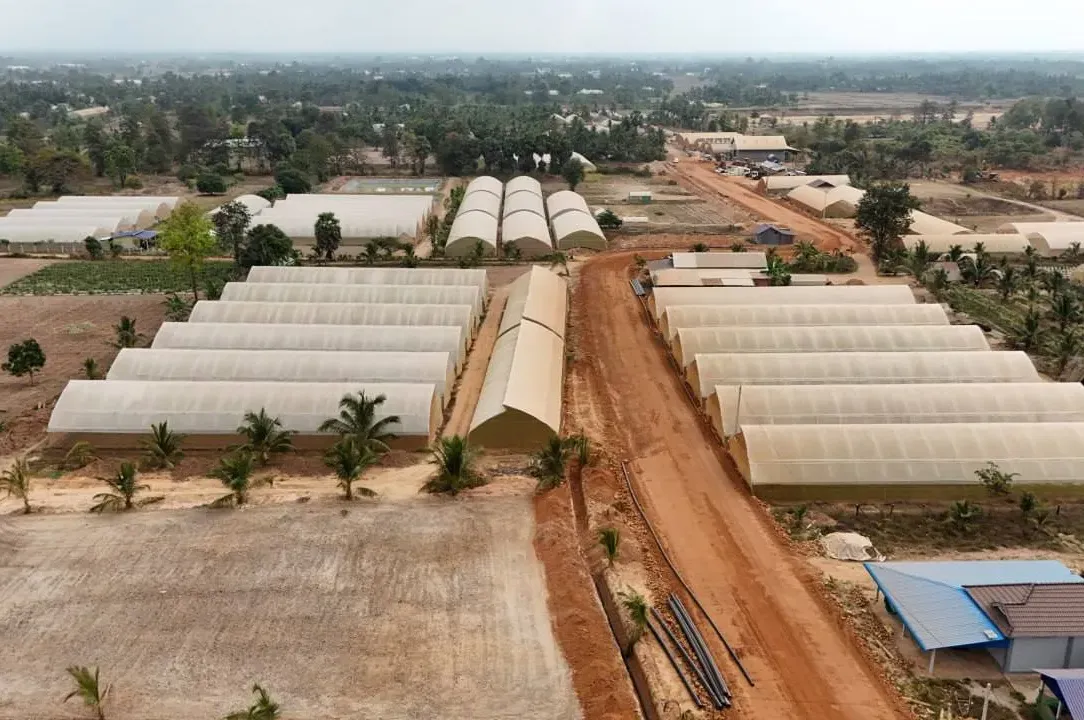 សហគមន៍កសិកម្មទំនើបកើនឡើងដល់ ៣១ ជាមួយកិច្ចសន្យាផលិត