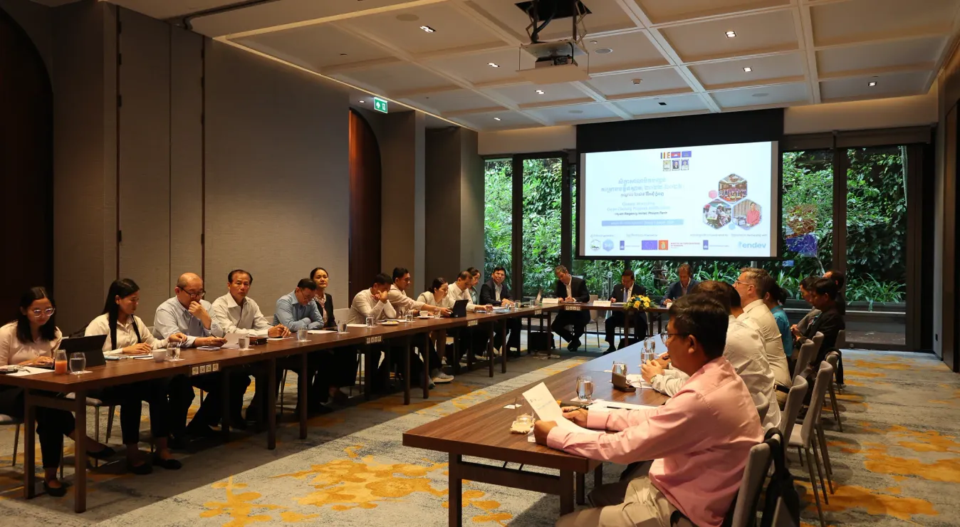 ក្រសួងរ៉ែ ថាមពល និងអង្គការ SNV ប្រកាសពីជោគជ័យ នៃគម្រោងលើកកម្ពស់ការចម្អិនស្អាត និងភូមិគ្មានផ្សែង