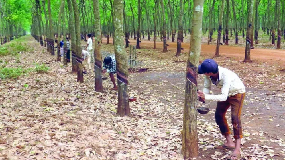 តម្រូវការ​