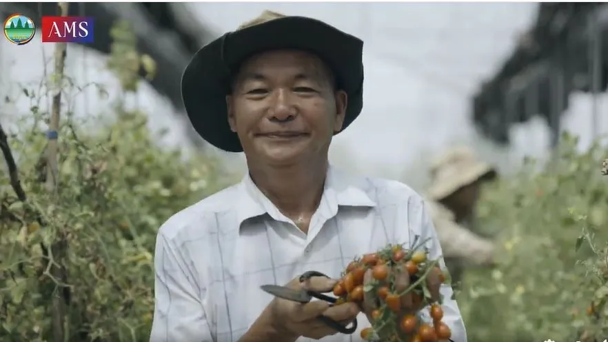 ចំការបន្លែសុវត្ថិភាពហុងអេកូ​ (មានវីដេអូ)