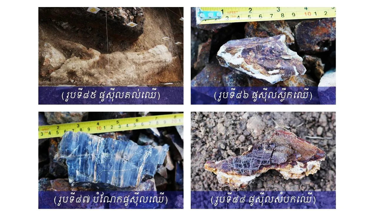 ស្ថានីយផូស៊ីលឈើលំផាត់ (Lum Phat Petrified wood Fossil Site)