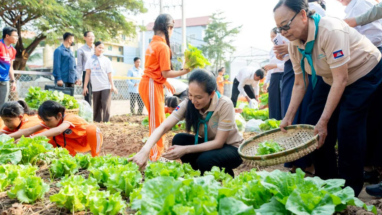 លោកជំទាវបណ្ឌិត ពេជ ចន្ទមុន្នី ហ៊ុនម៉ាណែត អញ្ជើញប្រមូលកសិផលដែលកើតចេញពីចលនា “យើងរួមគ្នាដើម្បីជាតិ” នៅសាលាបឋមសិក្សាភ្នំពេញថ្មី ខណ្ឌសែនសុខ រាជធានីភ្នំពេញ