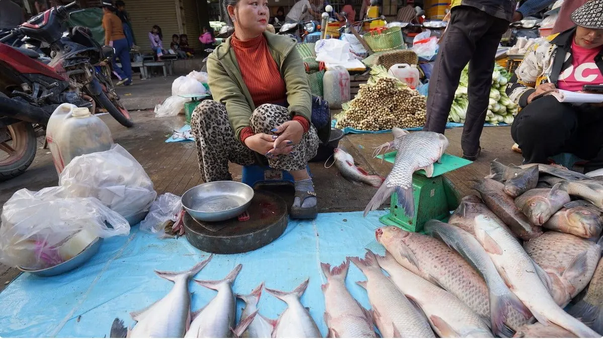 ក្រុម អ្នក ស្រាវជ្រាវ អន្តរជាតិរកឃើញត្រី ១៣០ប្រភេទមានវត្តមានក្នុងផ្សារក្រុងស្ទឹងត្រែង និងក្រចេះ