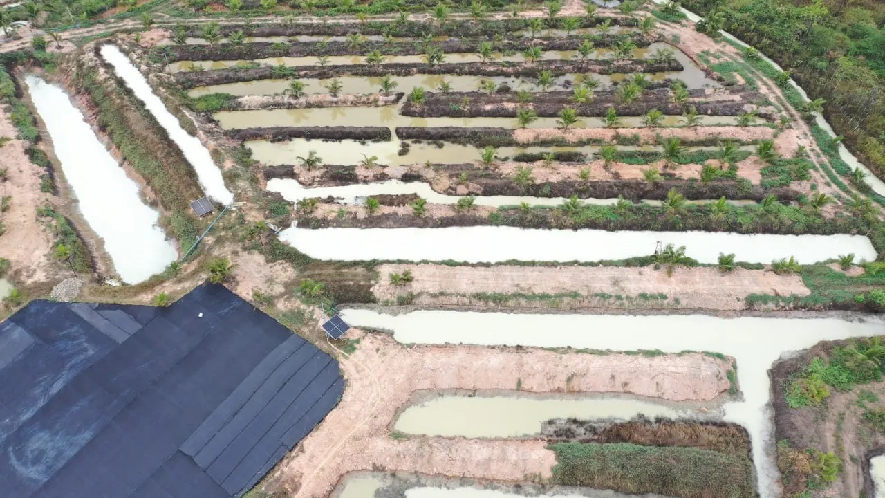 ក្រសួងបរិស្ថានចាត់វិធានការចាំបាច់មួយចំនួនដល់ម្ចាស់រោងចក្រកែច្នៃផ្លែស្វាយមួយកន្លែងនៅកំពង់ស្ពឺ