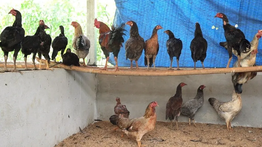 ក្រសួងពាណិជ្ជកម្មបញ្ចេញជំនួយ ១,៥លានដុល្លារសម្រាប់ជួយកសិករខ្នាតតូច