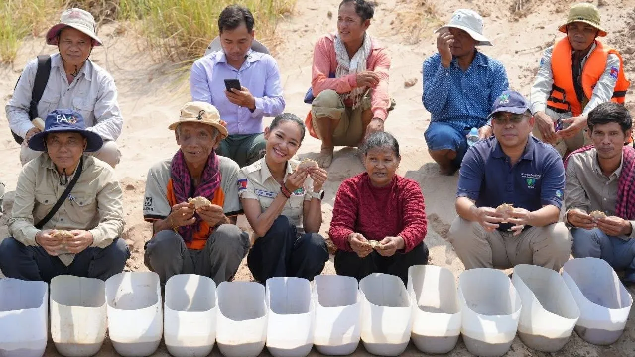 សត្វកន្ធាយក្បាលកង្កែបដ៏កម្រចំនួន១៥ក្បាលត្រូវបានលែងចូលទៅក្នុងដែនទឹកធម្មជាតិ