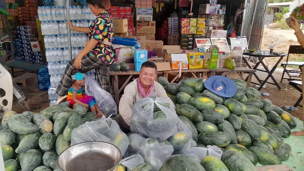 ដំណាំឪឡឹក ងាយស្រួលដាំ ចំណាយតិច និងរួមចំណែកផ្គត់ផ្គង់ដល់ទីផ្សារកសិផលខ្មែរ
