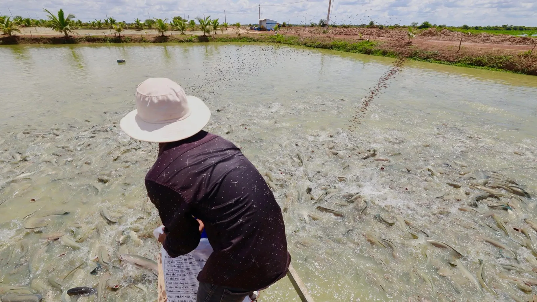 អាជីវកម្មចិញ្ចឹមត្រីរ៉ស់ដ៏ធំមួយកន្លែង មានលទ្ធភាពផ្គត់​ផ្គង់ត្រីសាច់ចូលទីផ្សារបានដល់ប្រមាណ ២០តោនក្នុងមួយថ្ងៃ