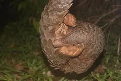 មកដឹងពីការ - Thumbnail