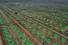 ពលរដ្ឋភៀសស - Thumbnail