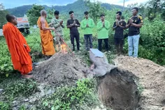 ការសម្លាប់ - Thumbnail
