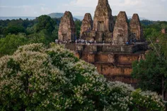 ចំណូលពីការ - Thumbnail