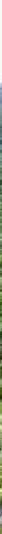 ក្រុមហ៊ុន​