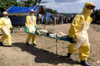 ជំងឺ Ebola ត្រូវបានប្រកាសអាសន្នសុខភាពសាធារណៈ បារម្ភជាអន្តរជាតិ - AMS Article Thumbnail