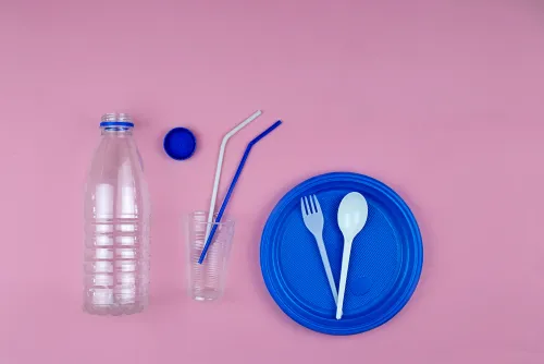 ផលប៉ះពាល់ នៃការប្រើប្រាស់ផលិតផលប្លាស្ទិក