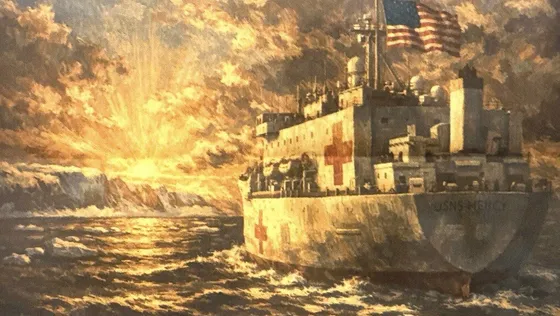 លោក ត្រាំ បញ្ជូននាវាមន្ទីរពេទ្យ ទៅហ្គ្រីនលែន - AMS Article Thumbnail