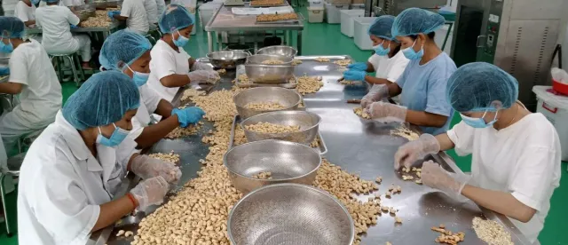 វិស័យឯកជនចង់ឲ្យរដ្ឋាភិបាលពិចារណាលើការលើកលែងពន្ធកសិកម្មកែច្នៃ ដើម្បីទាក់ទាញការវិនិយោគបន្ថែម - AMS Article Thumbnail