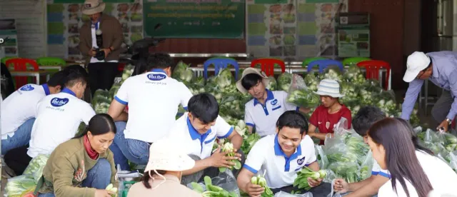 សហគមន៍កសិកម្មមួយនៅខេត្តបាត់ដំបង គ្រោងបង្កើតបណ្តាញផ្សារបន្លែទំនើបខ្នាតតូចឱ្យបានទូលំទូលាយនៅទូទាំងប្រទេស - AMS Article Thumbnail