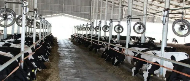 ទឹកដោះគោស្រស់ពីម៉ាឡេស៊ី កំពុងទាញយកចំណែកទីផ្សារនៅកម្ពុជា - AMS Article Thumbnail