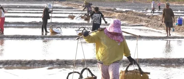 ការផលិតអំបិលឆ្នាំ២០២៦ អាចមានភាពយឺតយ៉ាវដោយសារកត្តាអាកាសធាតុ - AMS Article Thumbnail