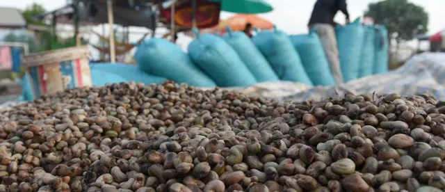 រយៈពេល៣ខែ កម្ពុជានាំចេញគ្រាប់ស្វាយចន្ទីមានតម្លៃជាង ៣៥៨ លានដុល្លារ - AMS Article Thumbnail