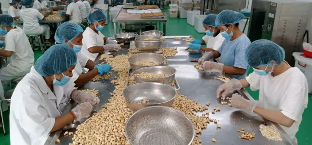 Thumbnail for វិស័យឯកជនចង់ឲ្យរដ្ឋាភិបាលពិចារណាលើការលើកលែងពន្ធកសិកម្មកែច្នៃ ដើម្បីទាក់ទាញការវិនិយោគបន្ថែម