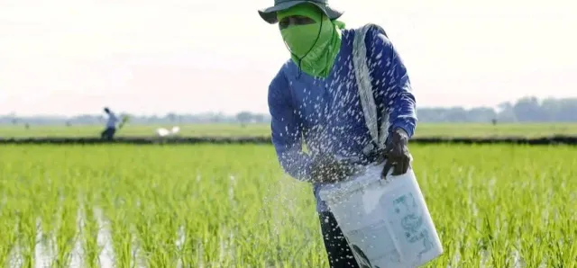 Thumbnail for ជីកសិកម្មឡើងថ្លៃស្របពេលវិបត្តិប្រេងឥន្ទនៈកំពុងមានសម្ពាធ