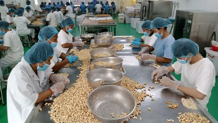 វិស័យឯកជនចង់ឲ្យរដ្ឋាភិបាលពិចារ...