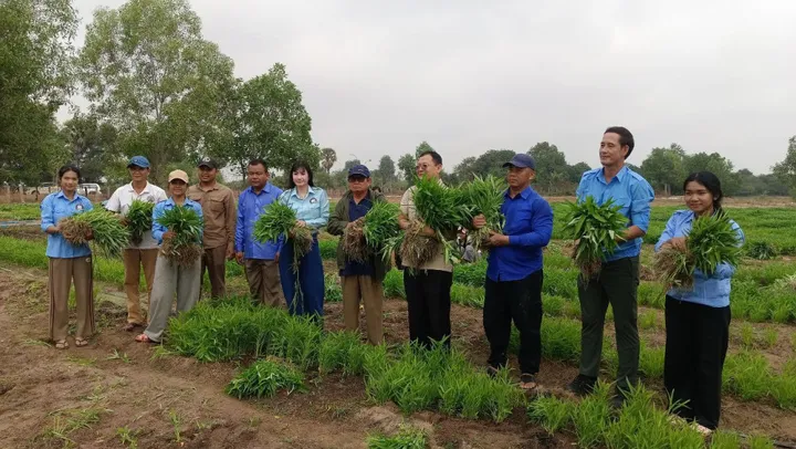 សួនបន្លែសុវត្ថិភាពសមាគមកាយឫទ្ធ...