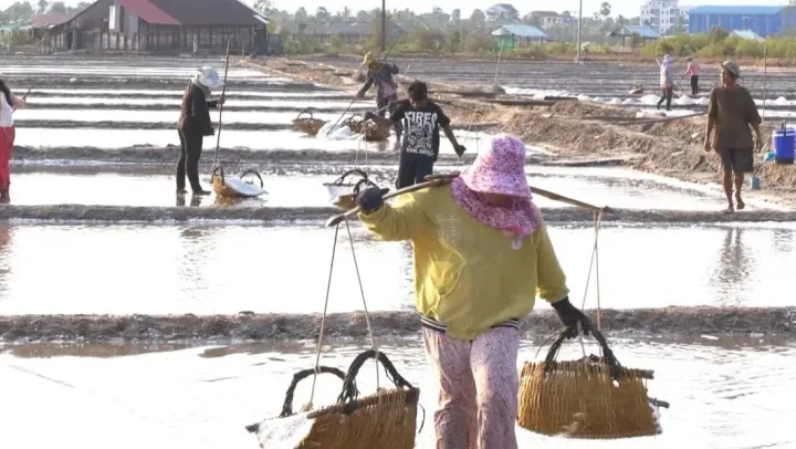 ការផលិតអំបិលឆ្នាំ២០២៦ អាចមានភា...