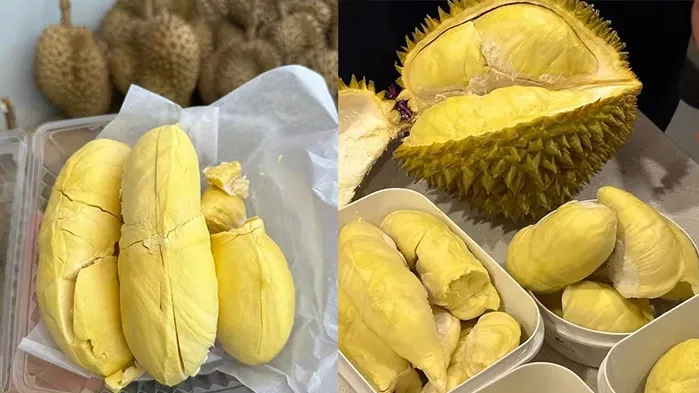 ការនាំចូលទ
