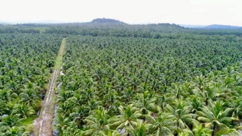 ក្រុមហ៊ុន​