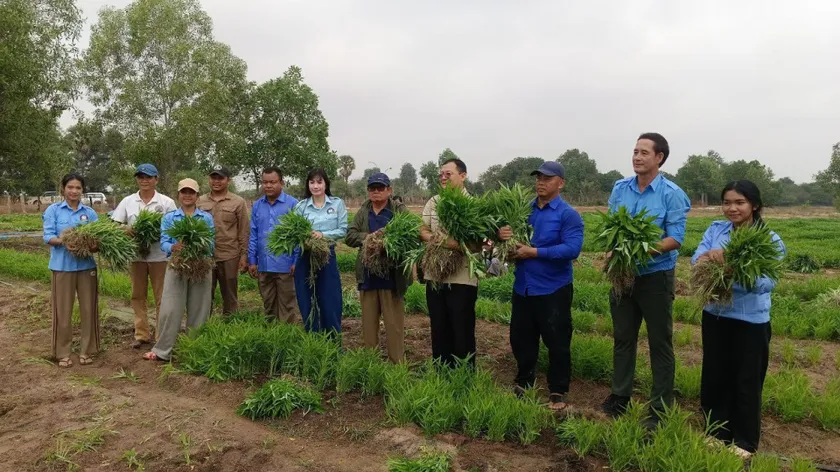 សួនបន្លែសុវត្ថិភាពសមាគមកាយឫទ្ធ...