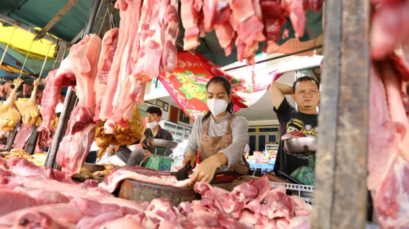 តម្រូវការសាច់ជ្រូកកើនឡើង តែតម្...