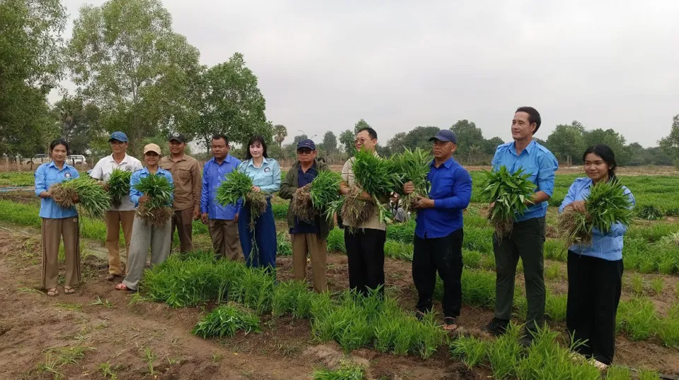 សួនបន្លែសុវត្ថិភាពសមាគមកាយឫទ្ធ...