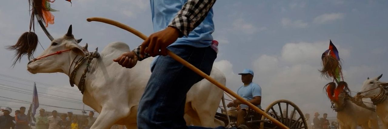 មរតកដូនតា! ការប្រណាំងរទេះសាឡីគោលឿន ត្រៀមអង្រួនទឹកដីខេត្តកំពង់ស្ពឺឱ្យកក្រើកនៅដើមខែមេសានេះ - Article Thumbnail