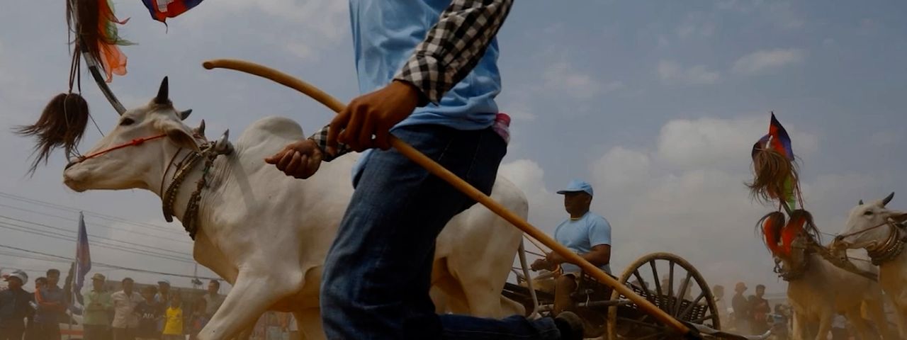 Image for article: មរតកដូនតា! ការប្រណាំងរទេះសាឡីគោលឿន ត្រៀមអង្រួនទឹកដីខេត្តកំពង់ស្ពឺឱ្យកក្រើកនៅដើមខែមេសានេះ