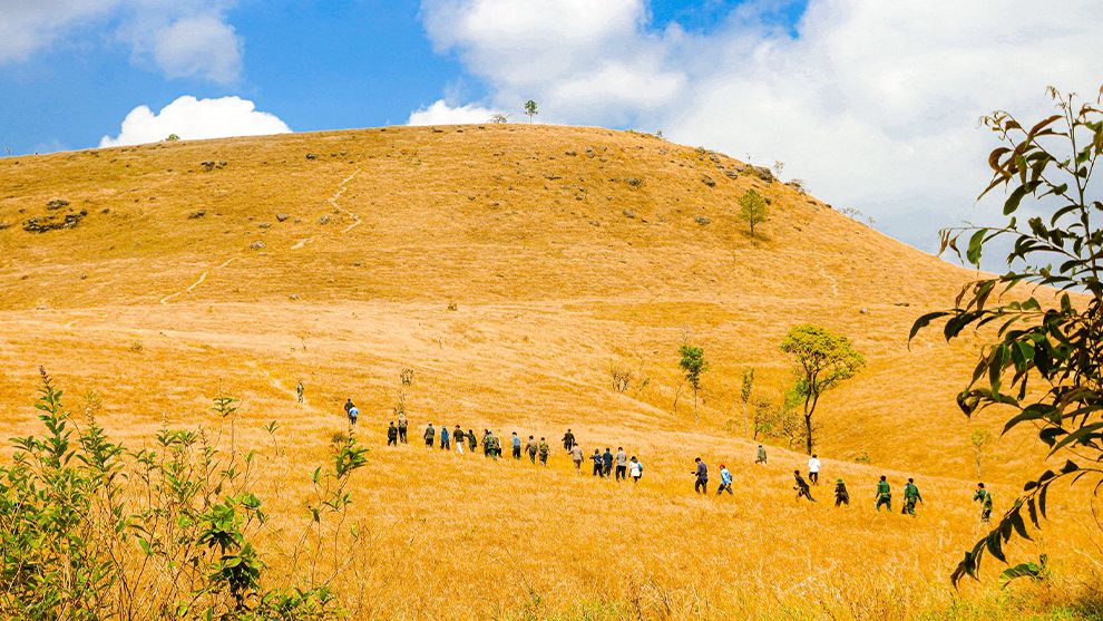 វាលស្មៅបៃតងស្រស់ប្រែជាពណ៌មាសបង្កើតបានទិដ្ឋភាពប្លែកភ្នែកលើភ្នំខ្នងផ្សារ