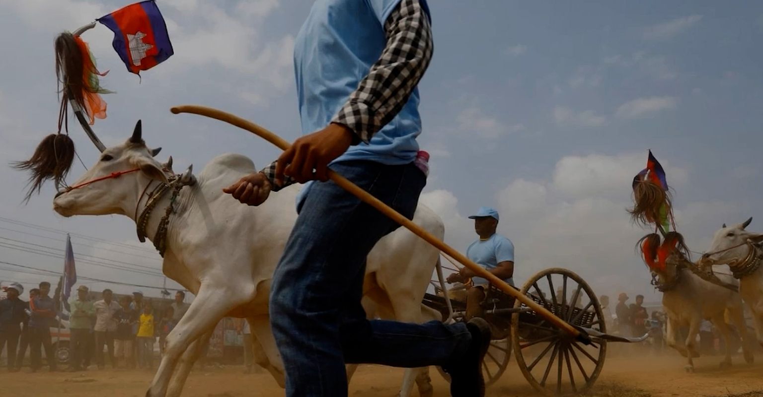 មរតកដូនតា! ការប្រណាំងរទេះសាឡីគោលឿន ត្រៀមអង្រួនទឹកដីខេត្តកំពង់ស្ពឺឱ្យកក្រើកនៅដើមខែមេសានេះ