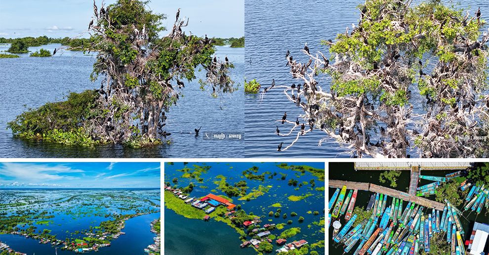 ភូមិព្រែកទាល់ ទីឋានគយគន់សត្វស្លាបរាប់រយប្រភេទ អមដោយផ្ទះបណ្ដែតទឹករាប់រយ