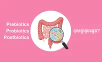 ឈ្មោះស្រដៀងគ្នា តែ Prebiotics Probiotics និង Postbiotics ខុសគ្នាដូចម្ត៉េច?