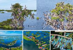 ភូមិព្រែកទាល់ ទីឋានគយគន់សត្វស្លាបរាប់រយប្រភេទ អមដោយផ្ទះបណ្ដែតទឹករាប់រយ