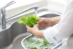 បើមិនចង់ទទួលទានសារធាតុគីមី គួរឈប់លាងបន្លែតាម ៥វិធីនេះ