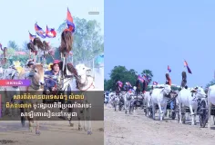 សារព័ត៌មានបរទេសធំៗ លំដាប់ពិភពលោក ចុះផ្សាយពិធីប្រណាំងរទេះសាឡីគោលឿននៅកម្ពុជា