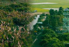 ទួលព័ន្ធតាឡី- បឹងស្នេហ៍ តំបន់ទេសចរណ៍សត្វស្លាបដ៏មានសក្តានុពលក្នុងខេត្តព្រៃវែង