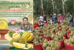 ភ្លក់ ទុរេន ដោយ​សេរី ឥត​គិត​ថ្លៃ ក្នុង​ព្រឹត្តិការណ៍​តាំង​ពិព័រណ៍នៅ​ខេត្ត​ត្បូង​ឃ្មុំ