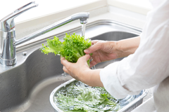 បើមិនចង់ទទួលទានសារធាតុគីមី គួរឈប់លាងបន្លែតាម ៥វិធីនេះ - Article