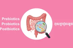 ឈ្មោះស្រដៀងគ្នា តែ Prebiotics Probiotics និង Postbiotics ខុសគ្នាដូចម្ត៉េច? - Article