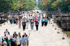 កម្ពុជារកចំណូលបានប្រមាណ ១៨ លានដុល្លារ ពីការលក់សំបុត្រចូលទស្សនាអង្គរក្នុងដើមឆ្នាំ ២០២៦ - Article