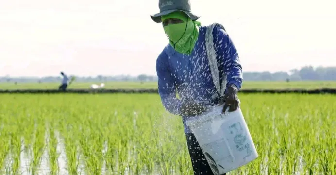 ជីកសិកម្មឡើងថ្លៃស្របពេលវិបត្តិ...